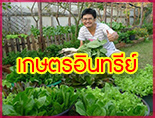 เกษตรอินทรีย์