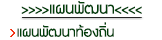 แผนพัฒนาท้องถิ่น